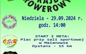 rajd roerowy